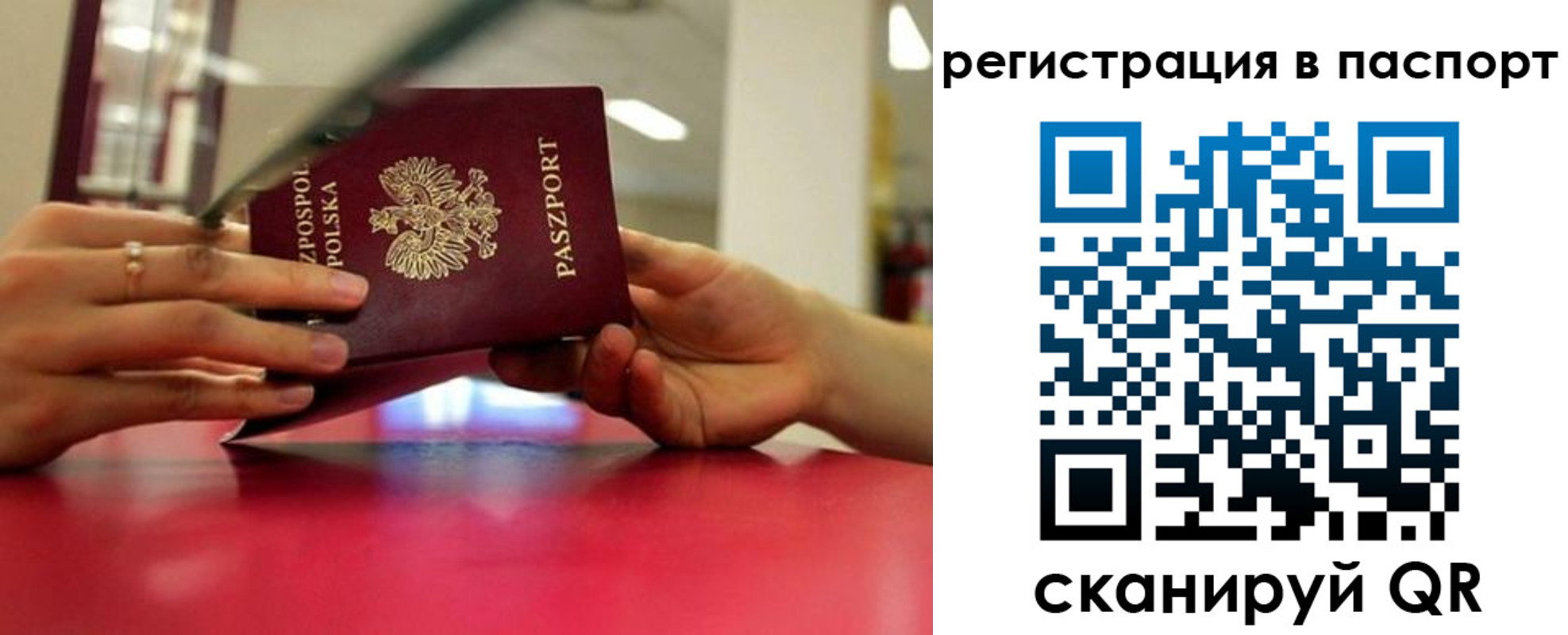 пропишу в квартире в Пионерском